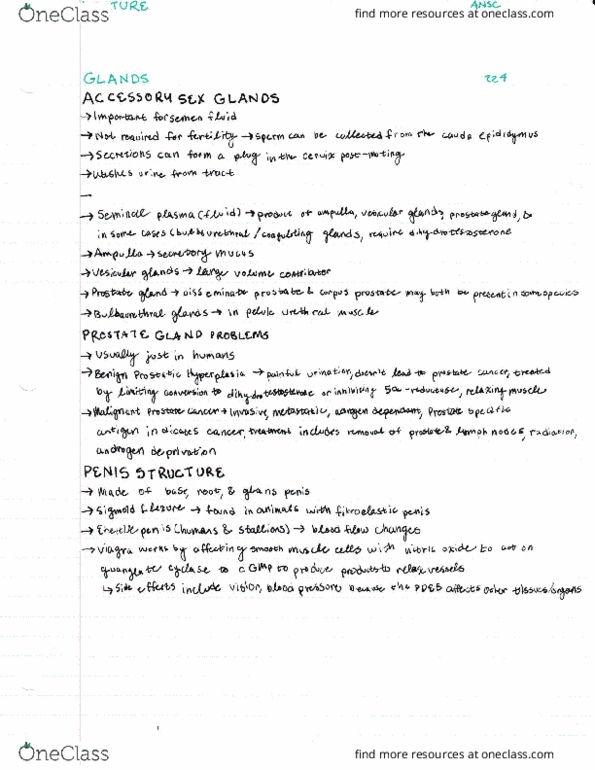 ANSC 224 Lecture Notes - Lecture 12: Urt, .Mm, Ocz thumbnail