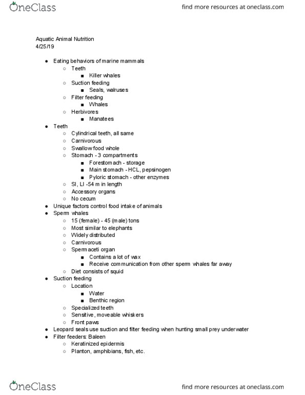 ANSC 1111 Lecture Notes - Lecture 23: Spermaceti Organ, Filter Feeder, Cecum thumbnail