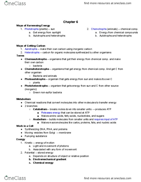 BIO 140 Chapter Notes - Chapter 6: Chemical Energy, Heterotroph, Potential Energy thumbnail