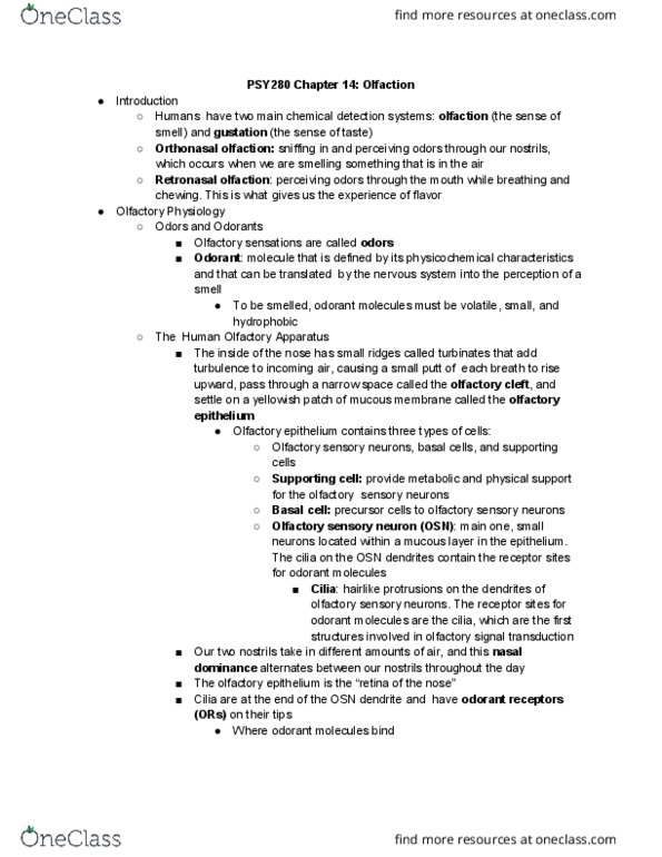 PSY280H1 Chapter Notes - Chapter 14: Olfactory Receptor Neuron, Olfactory Epithelium, Olfactory Receptor thumbnail