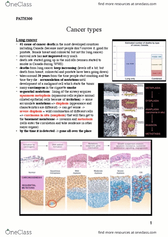 PATH 300 Lecture Notes - Lecture 8: Squamous Metaplasia, Fecal Occult Blood, Pituitary Adenoma thumbnail