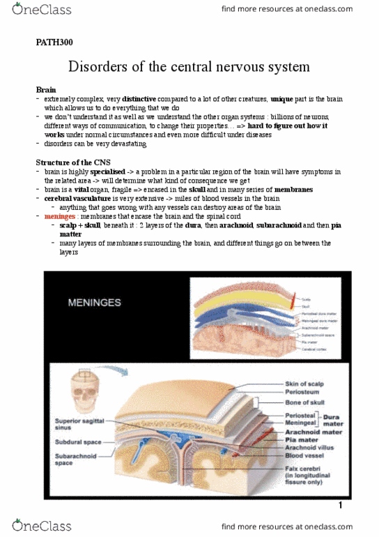PATH 300 Lecture Notes - Lecture 2: Cerebral Circulation, Encase, Meninges thumbnail