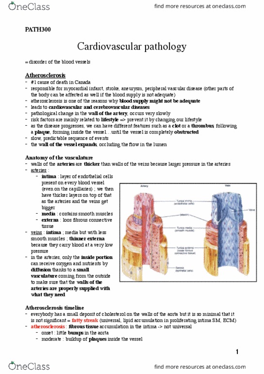 PATH 300 Lecture Notes - Lecture 1: Peripheral Artery Disease, Myocardial Infarction, Smooth Muscle Tissue thumbnail