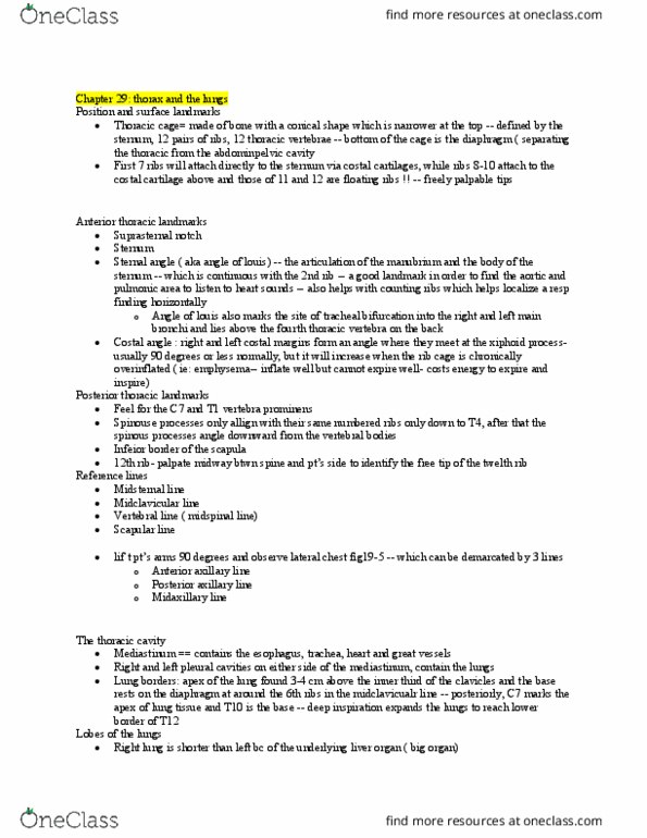 NSE 13A/B Chapter Notes - Chapter 29: Cervical Vertebrae, Costal Cartilage, Thoracic Vertebrae thumbnail