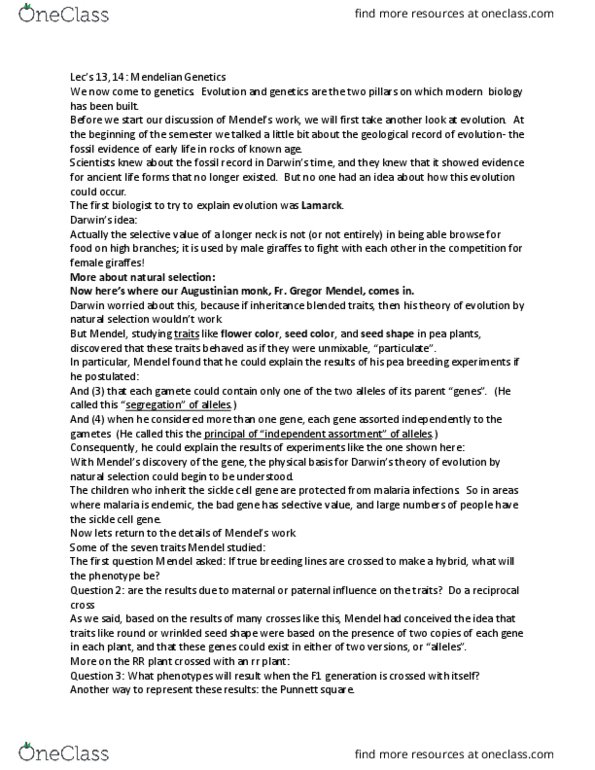 BSCI 10001 Lecture Notes - Lecture 16: Gregor Mendel, Punnett Square, Sickle-Cell Disease thumbnail
