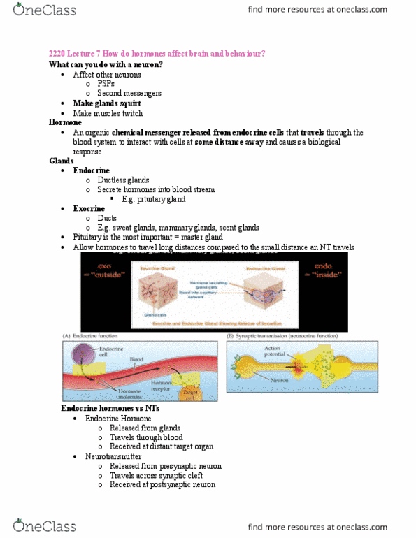 Psychology 2220A/B Lecture Notes - Lecture 7: Pituitary Gland, Neurotransmitter, Peripheral Vision thumbnail