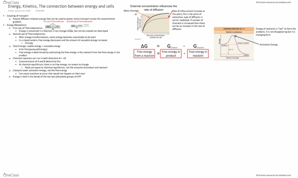 BIS 2A Lecture Notes - Lecture 2: Chemical Equilibrium, Activation Energy, Thermodynamics thumbnail