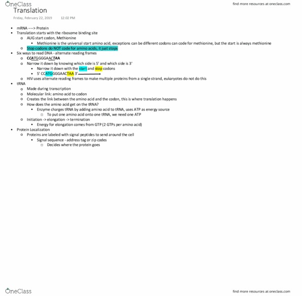 BIS 2A Lecture Notes - Lecture 15: Start Codon, Methionine, Transfer Rna thumbnail