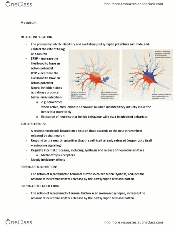 PSYCH261 Lecture Notes - Lecture 14: Chemical Synapse, Axon Terminal, Autocrine Signalling thumbnail