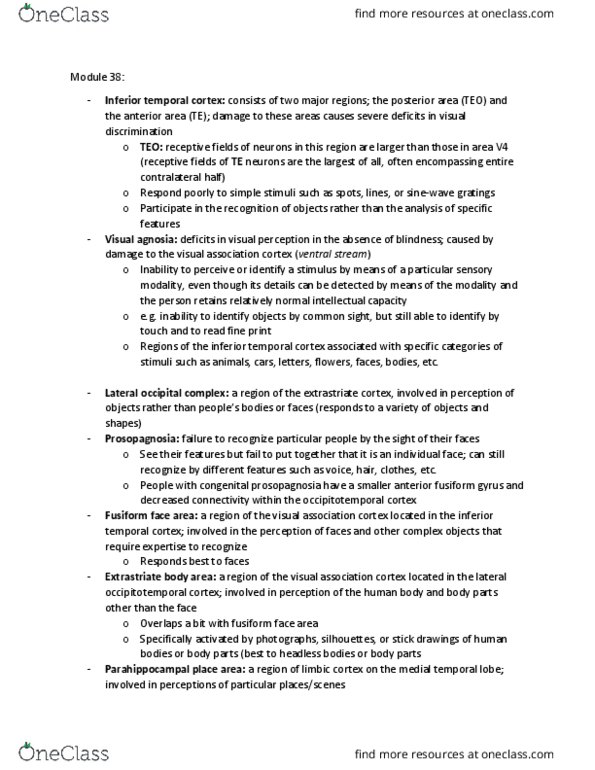 PSYCH261 Lecture Notes - Lecture 38: Inferior Temporal Gyrus, Visual Cortex, Fusiform Face Area thumbnail