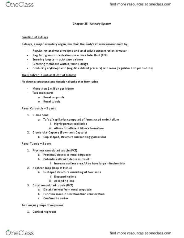 PHED-2507EL Lecture Notes - Lecture 9: Distal Convoluted Tubule, Proximal Tubule, Renal Corpuscle thumbnail