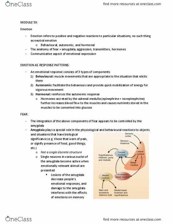PSYCH261 Lecture Notes - Lecture 59: Adrenal Medulla, Ventromedial Prefrontal Cortex, Medial Vestibular Nucleus thumbnail