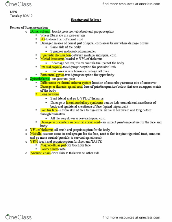 NSCI426 Lecture Notes - Lecture 14: Posterior Column, Trigeminal Nerve, Spinothalamic Tract thumbnail