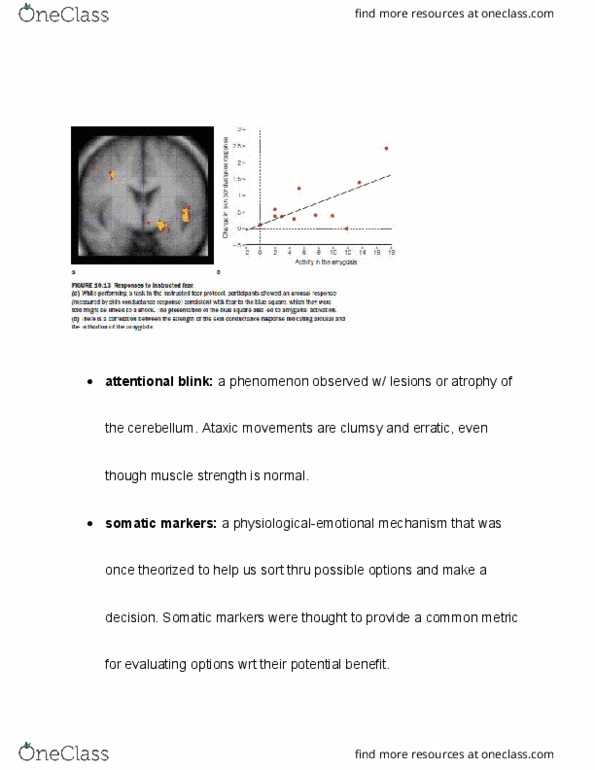 PSYB55H3 Chapter Notes - Chapter 10.12: Attentional Blink thumbnail
