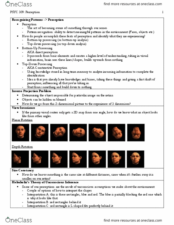 PSYC 309 Lecture Notes - Lecture 7: Visual Cortex, Long-Term Memory, Pattern Recognition thumbnail