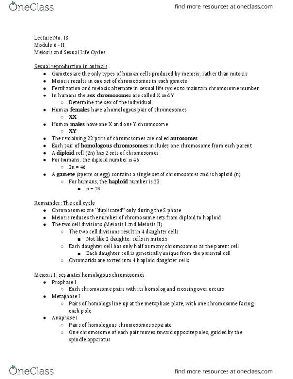 BIOL 242 Lecture Notes - Lecture 18: Spindle Apparatus, Y Chromosome, Meiosis thumbnail
