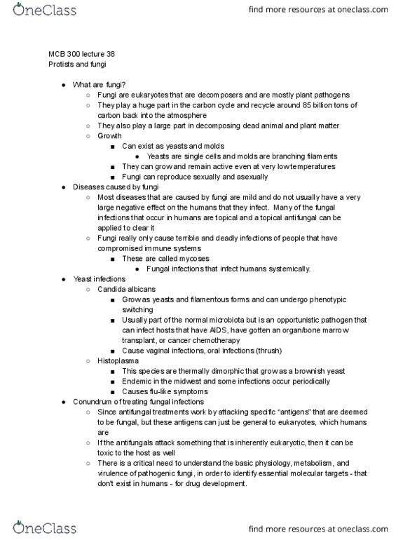 MCB 300 Lecture Notes - Lecture 38: Opportunistic Infection, Phenotypic Switching, Histoplasma thumbnail