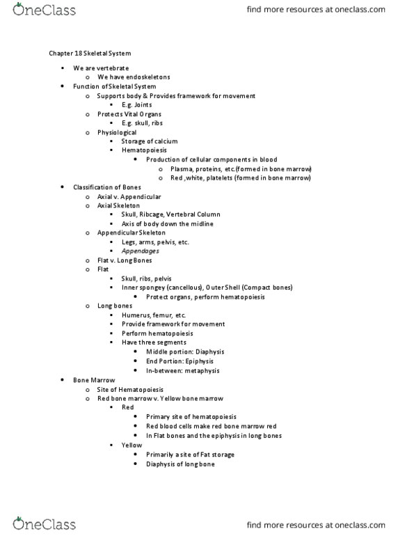 BIO 1012 Lecture Notes - Lecture 18: Bone Marrow, Haematopoiesis, Diaphysis thumbnail