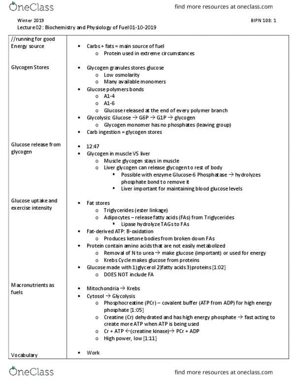 BIPN 108 Lecture Notes - Lecture 2: Creatine Kinase, Citric Acid Cycle, Blood Sugar thumbnail