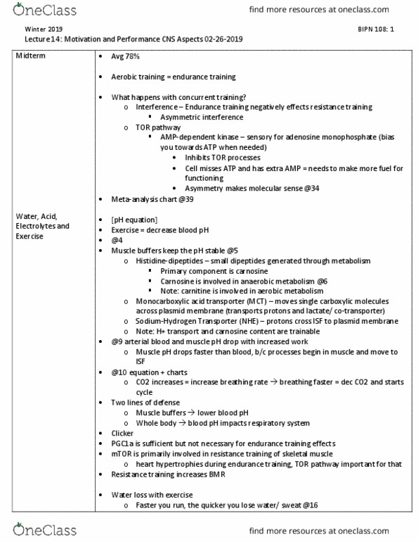 BIPN 108 Lecture Notes - Lecture 14: Adenosine Monophosphate, Carnosine, Endurance Training thumbnail