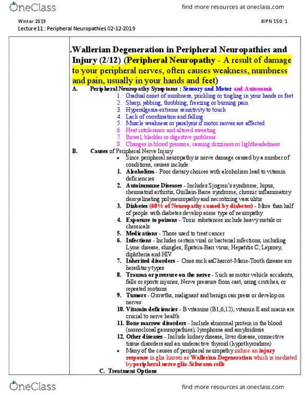 BIPN 150 Lecture Notes - Lecture 11: Chronic Inflammatory Demyelinating Polyneuropathy, Paraproteinemia, Peripheral Neuropathy thumbnail