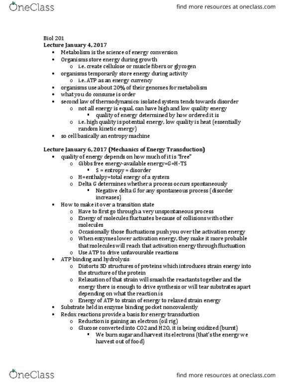 BIOL 201 Lecture Notes - Lecture 10: Atp Hydrolysis, Activation Energy, Spontaneous Process thumbnail