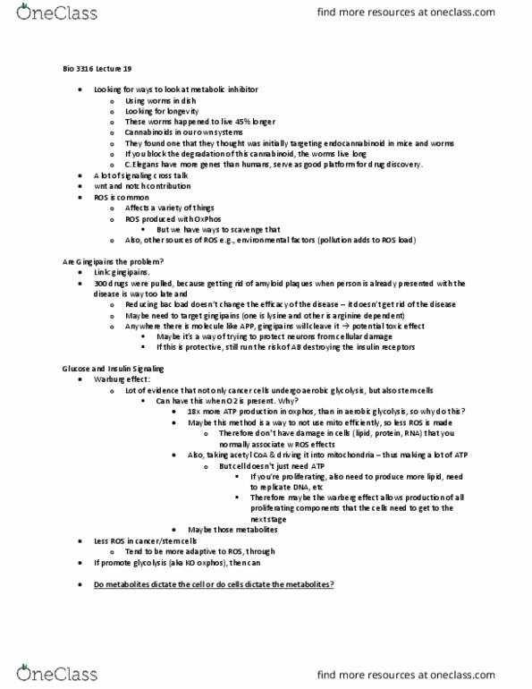 Biology 3316A/B Lecture Notes - Lecture 19: Amyloid, Acetyl-Coa, Cannabinoid thumbnail