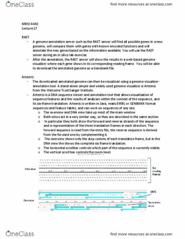 MBIO 4440 Lecture Notes - Lecture 17: Dna Annotation, Scrollbar, Wellcome Trust thumbnail