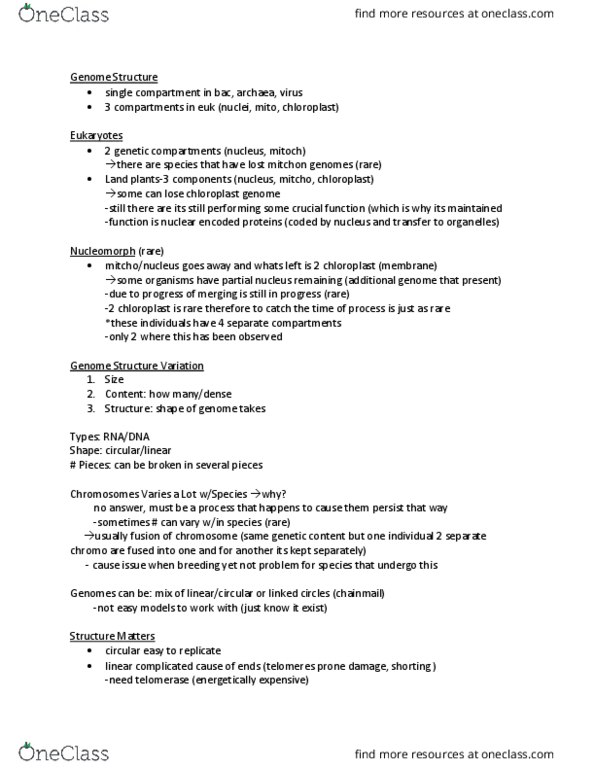 Biology 2581B Lecture Notes - Lecture 3: Chloroplast, Telomerase, Telomere thumbnail