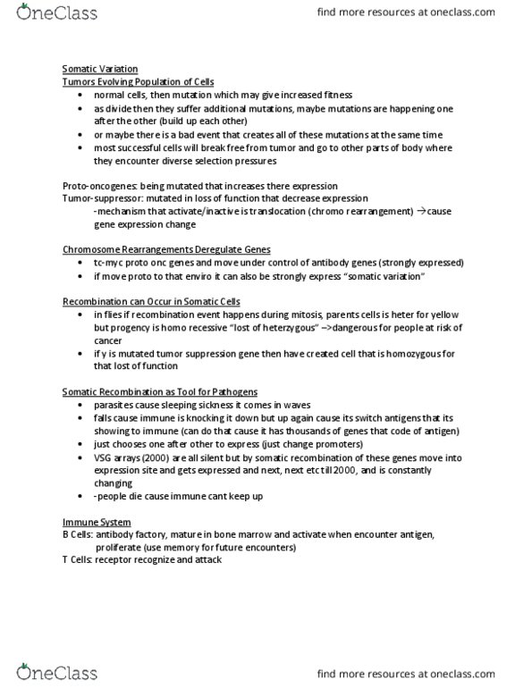 Biology 2581B Lecture Notes - Lecture 13: Antigen, B Cell, Mitosis thumbnail