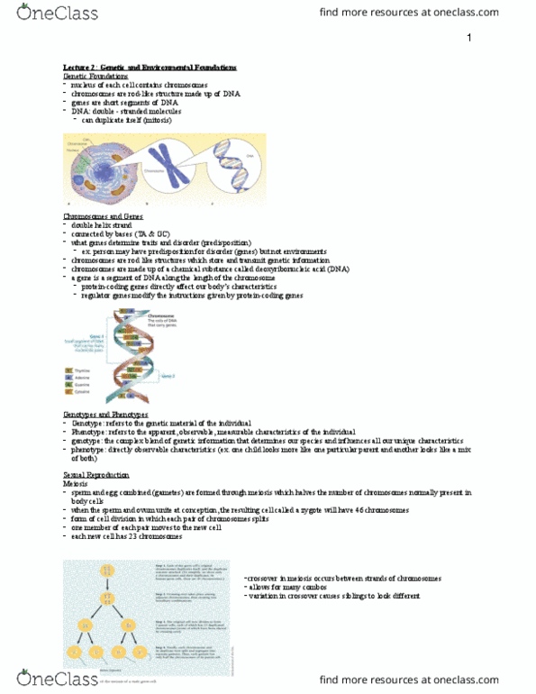 PSYC 2110 Lecture Notes - Lecture 2: Meiosis, Chemical Substance, Egg Cell thumbnail