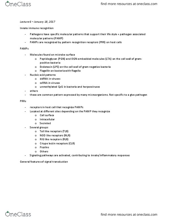 MIMM 214 Lecture Notes - Lecture 7: Pattern Recognition Receptor, Signal Transduction, Gram-Negative Bacteria thumbnail