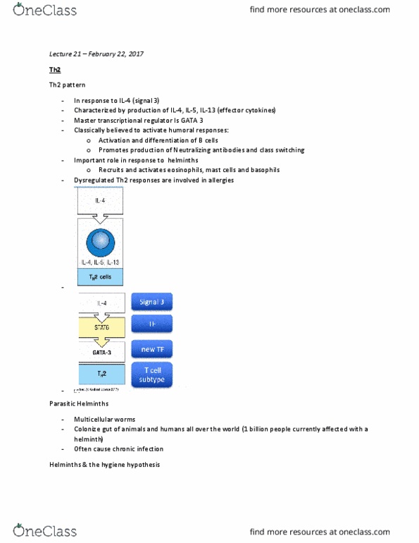 MIMM 214 Lecture Notes - Lecture 21: Helminths, Interleukin 13, Interleukin 4 thumbnail
