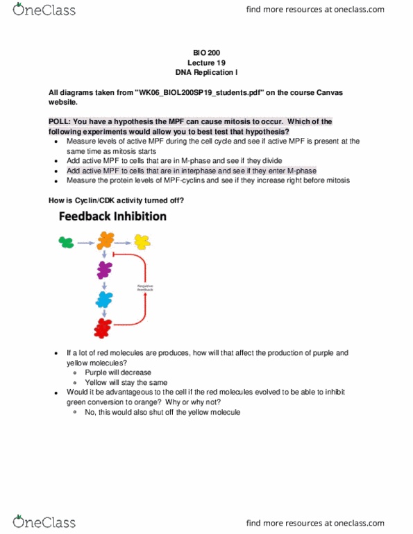 BIOL 200 Lecture Notes - Lecture 19: Dna Replication, Mitosis, Interphase thumbnail