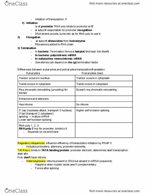 BIO 303 Lecture Notes - Lecture 21: Tata Box, Rna Polymerase Ii, Cistron thumbnail