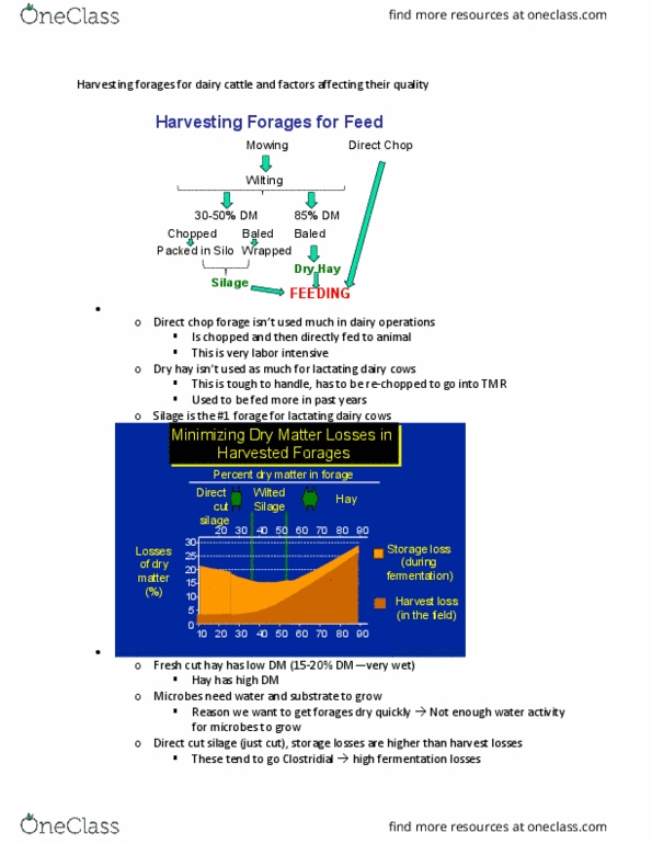 ANFS602 Lecture Notes - Lecture 18: Dairy Cattle, Clostridium, Water Activity thumbnail