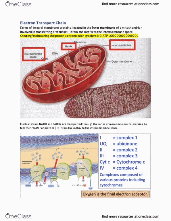 document preview image