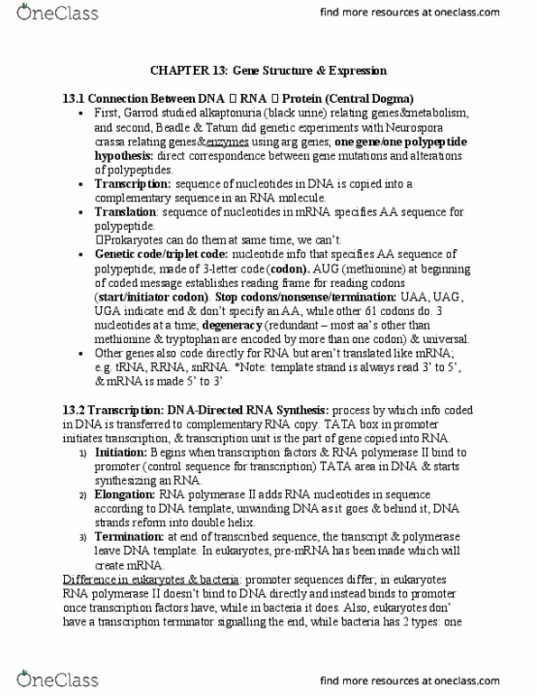 BIOL 1000 Chapter Notes - Chapter 13.2: Neurospora Crassa, Tata Box, Alkaptonuria thumbnail