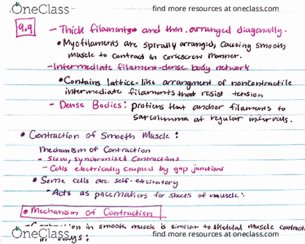 BSC 2085 Lecture 9: smooth muscle continued thumbnail