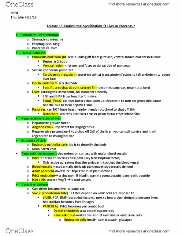 BISC415 Lecture Notes - Lecture 15: Pancreatic Bud, Pancreatic Polypeptide, Primordium thumbnail