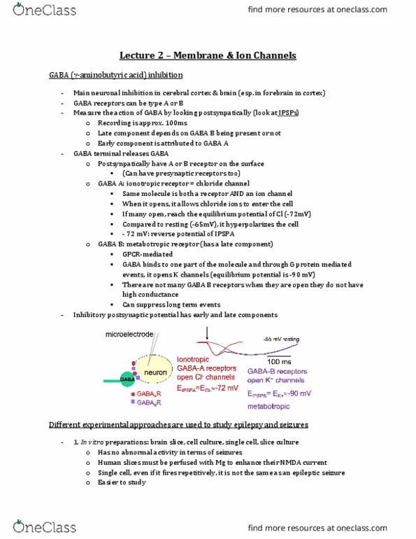 Physiology 4600A/B Lecture Notes - Lecture 2: Inhibitory Postsynaptic Potential, Metabotropic Receptor, Ligand-Gated Ion Channel thumbnail