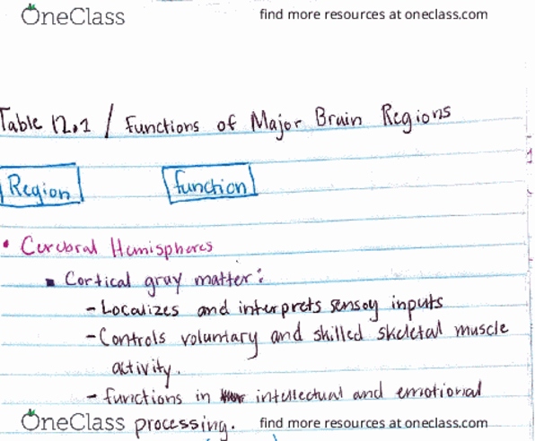 BSC 2085 Lecture 4: Functions of Brain Regions thumbnail