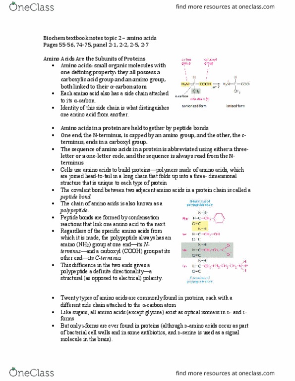 Biochemistry 2280A Chapter Notes - Chapter 2: Covalent Bond, Amine, Peptide thumbnail