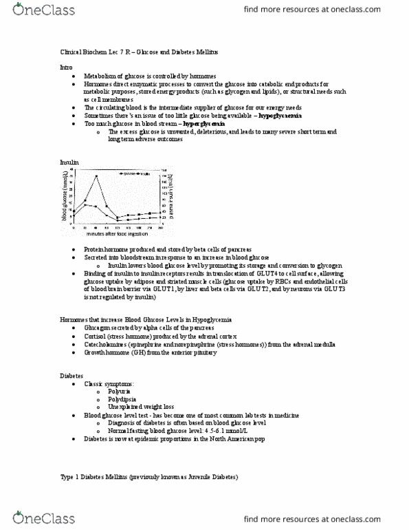 Biochemistry 3386B Lecture Notes - Lecture 7: Diabetes Mellitus Type 1, Adrenal Medulla, Anterior Pituitary thumbnail