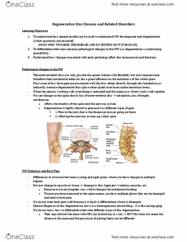 Physiology 4530A/B Lecture Notes - Lecture 6: Degenerative Disc Disease, Ankylosing Spondylitis, Spinal Disc Herniation thumbnail