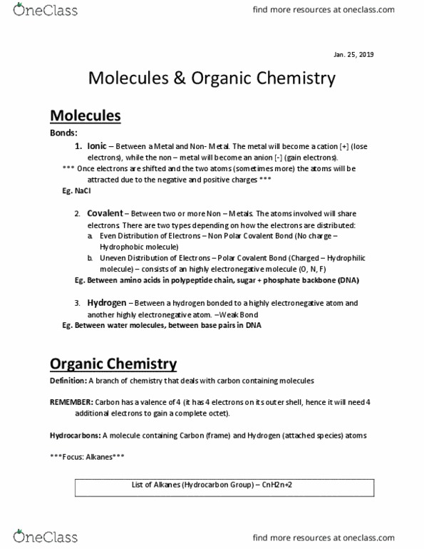 BIO 1213 Lecture 4: BIO 1213 Lecture : BIO 1213 Lecture : BIO - Molecules and Organic Chemistry thumbnail