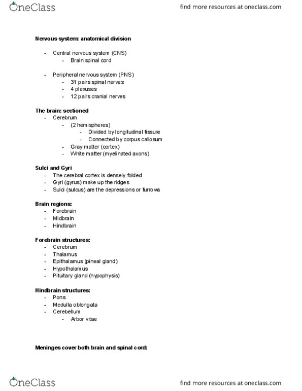 KINS 1223 Lecture Notes - Lecture 3: Central Nervous System, Cranial Nerves, Medulla Oblongata thumbnail