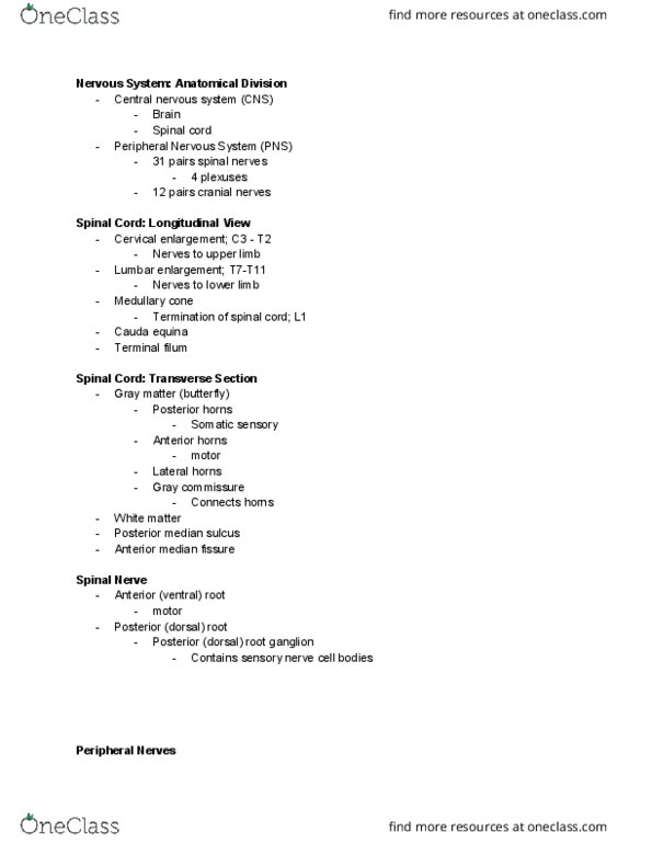 KINS 1223 Lecture Notes - Lecture 8: Central Nervous System, Peripheral Nervous System, Cranial Nerves thumbnail