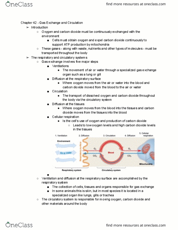 BISC208 Lecture Notes - Lecture 10: Cellular Respiration, Trachea, Partial Pressure thumbnail