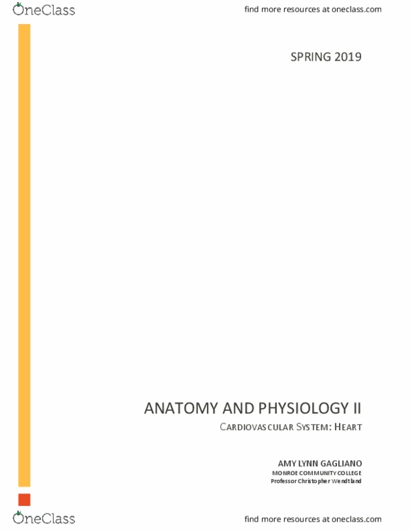 BIO 145 Lecture Notes - Lecture 4: Sarcomere, Diastole, Afterload thumbnail